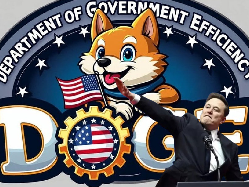 Department of Government Efficiency (Departamento de Eficiência Governamental) nos Estados Unidos