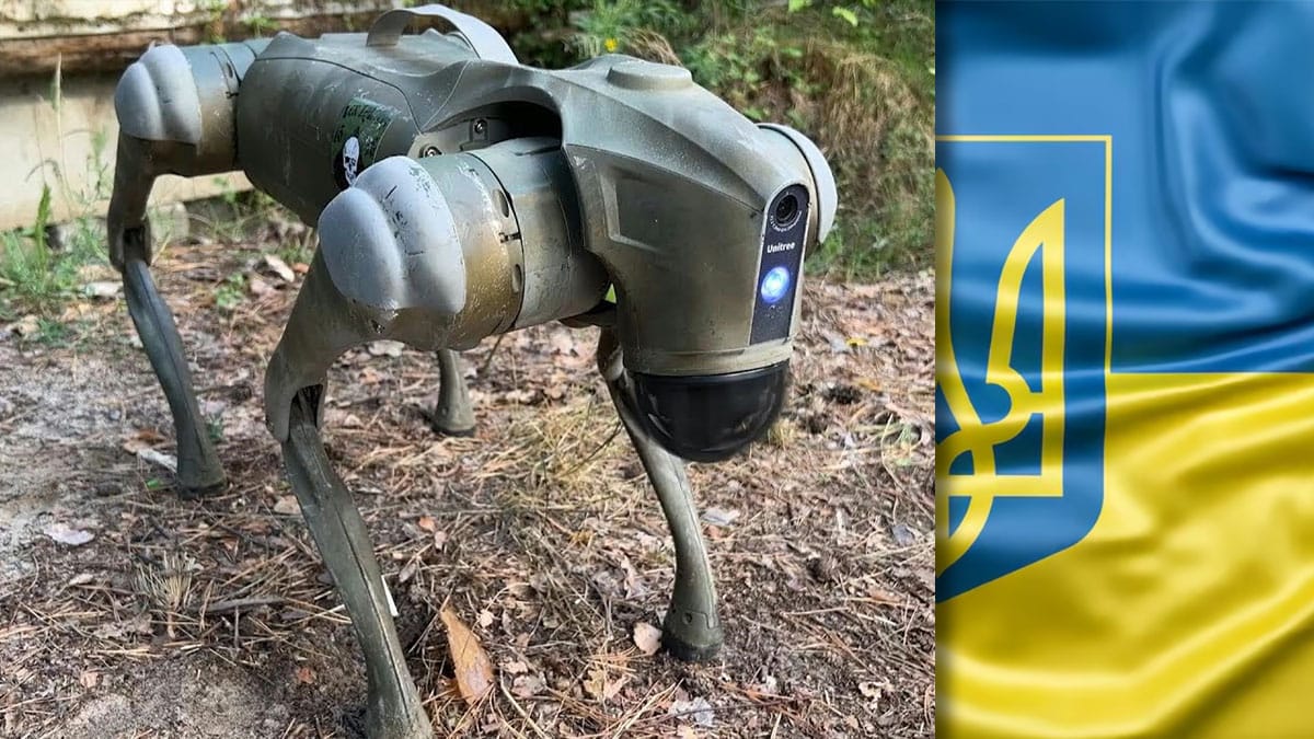 Cão robô BAD 2 camuflado em operação no Donbas, Ucrânia